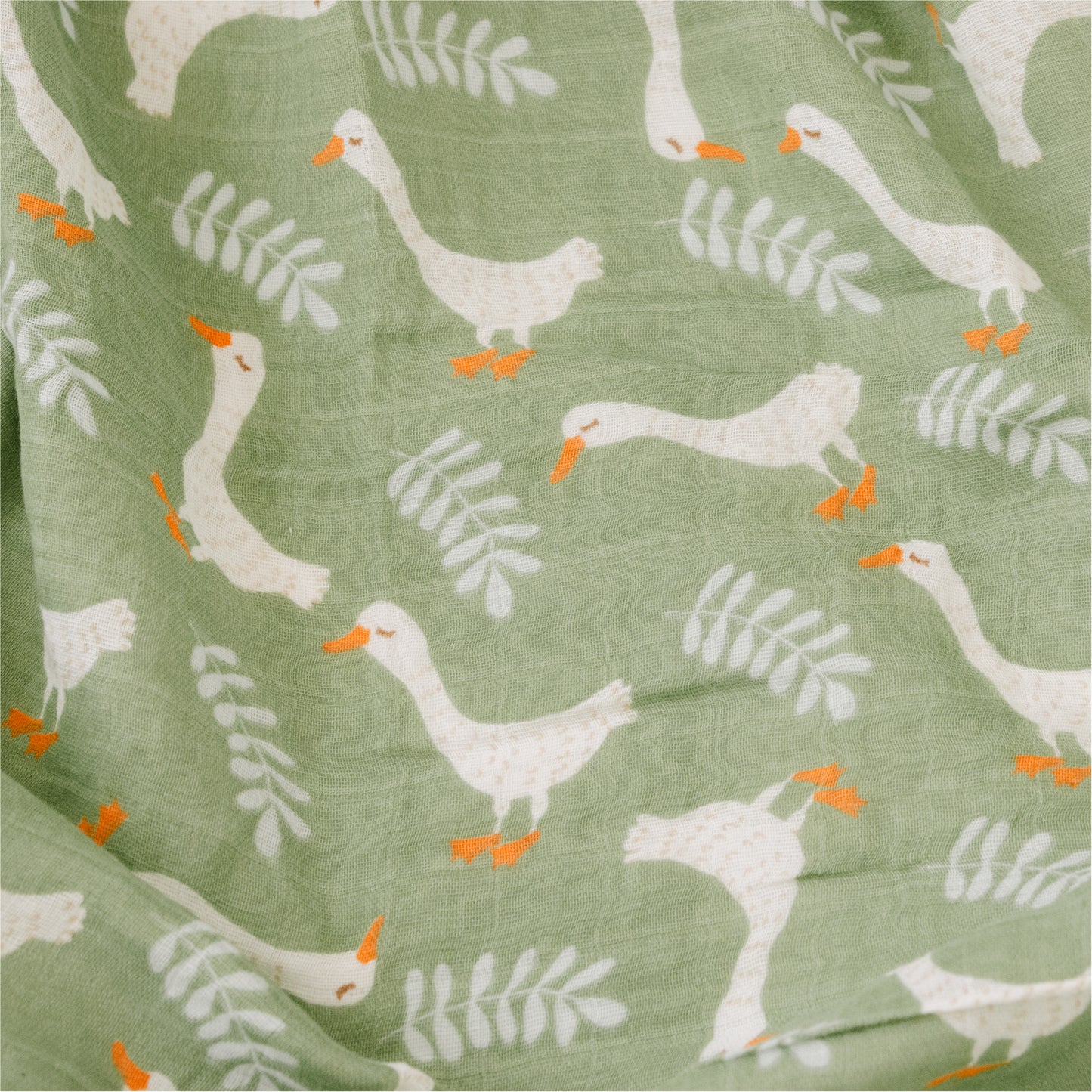 Verde Bosque de Patos