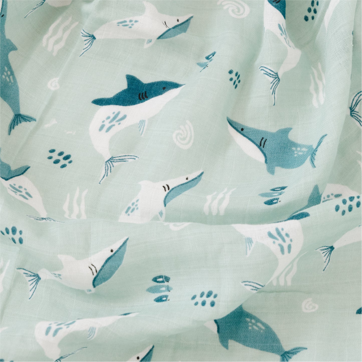 Tiburones al Mar